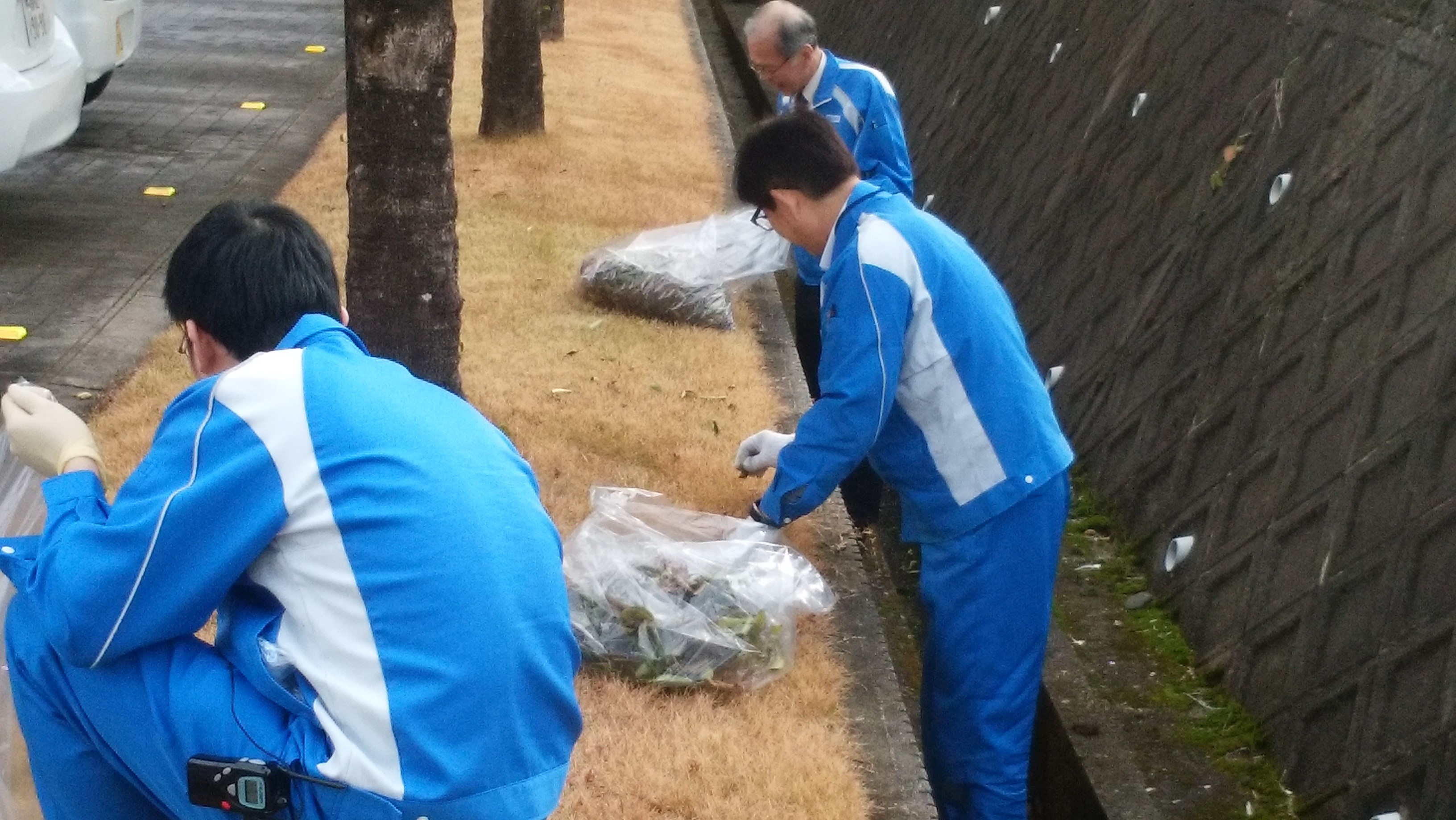 Photograph of cleanup activities